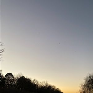 Meet your Posher, Ashton